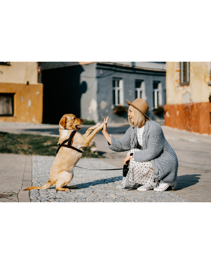 fashion forward polka dot dress street style look 2026
